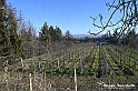 VBS_0874 - Corneliano d'Alba